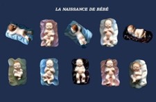 Complete series feves d'occasion  Expédié en Belgium