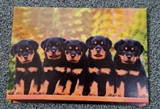 Hunde postkarte finnland gebraucht kaufen  Hamburg