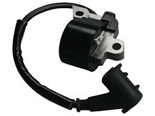 Electronic ignition ignition d'occasion  Expédié en Belgium