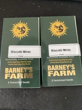 Biscotti mintz barneys gebraucht kaufen  Nienburg