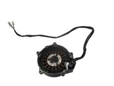 Lichtmaschine yamaha fzs gebraucht kaufen  Ellwangen (Jagst)