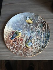 Winter bluetit coalport for sale  ALFRETON