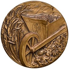 Medaglia centenario della usato  Italia