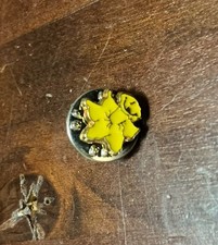 Small vintage yellow for sale  DONCASTER