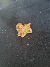 wade spaniel for sale wade spaniel for sale REDRUTH