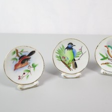 Japan mini bird for sale  Greenville