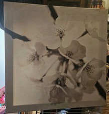 Ikea flora maia for sale  Pinconning