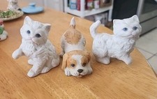 Vintage playful white for sale  El Paso