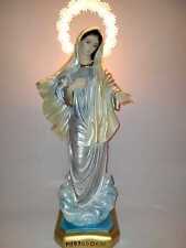 Statua madonna medjugorje usato  Caravaggio
