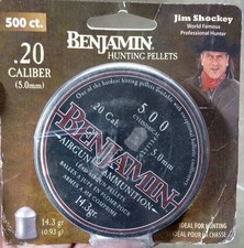 Benjamin .20 cal for sale  Minneota