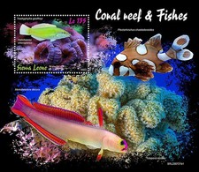 Coral reefs fish for sale  PONTYPRIDD