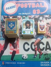 Album panini foot d'occasion  Pont-du-Casse