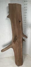 Driftwood cedar taxidermy for sale  Brookwood