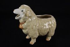 Otagiri lamb sheep for sale  Moberly