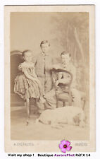 Enfants pose chien d'occasion  Chaumont