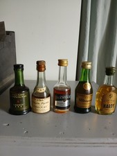 Lot mignonnettes cognac d'occasion  Saint-Maixent-l'École
