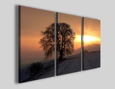 Quadro tela solitary usato  Pontecagnano Faiano