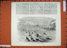 Old antique print for sale  UK