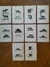 Lithos zoologie mammifères d'occasion  Metz-