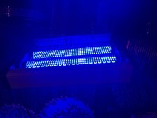 Lampe ultra violet d'occasion  Biscarrosse