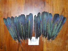 30 PLUMAS COLA DE URRACA 5"a 6,5" NATIVO AMERICANO ATAR MOSCAS ARTE Y ARTESANÍA segunda mano  Embacar hacia Mexico