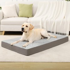 Orthopedic dog bed for sale  Brentwood