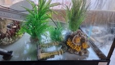 Fish tank pump for sale  BROMSGROVE