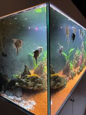 Acquario 400 litri usato  Vizzolo Predabissi