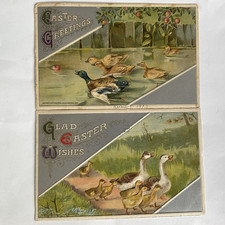 ducks goslings for sale  Landing
