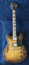 Halbresonanz gitarre gebraucht kaufen  Beetzendorf