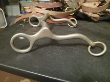 Used gaited horse for sale  Taylor