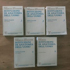 Chiarugi bucciante istituzioni usato  Celle Ligure