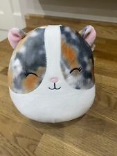 Squishmallow pax guinea for sale  PRENTON