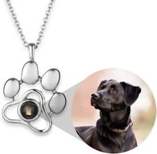 Pet collana commemorativa usato  Roma