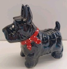 Westie black dog for sale  BRAUNTON