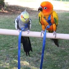 Parrot bird harness for sale  UK