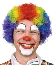 Parrucca pagliaccio clown usato  Italia