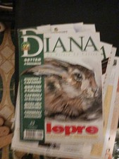 Annate diana usato  Valenza