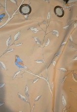 Euc asst birds for sale  Atlanta