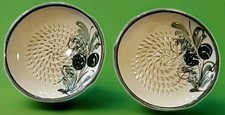 2 MG Cerâmica Feita na Espanha 5" Ralador de Alho Zester Rasper Plate comprar usado  Enviando para Brazil