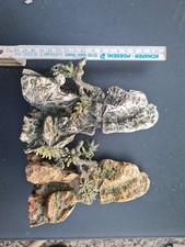 Deko felsen aquarium gebraucht kaufen  Bünde