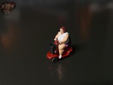 Dicke frau scooter gebraucht kaufen  Deutschland