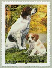 Stamp 1999 série d'occasion  Expédié en Belgium