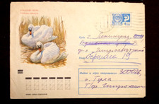 1971 ZSRR Całostki, Ptaki- Łabędź garbułowy, Łabędzie, Park zoologiczny- "ASKANIA-NOVA" na sprzedaż  Wysyłka do Poland