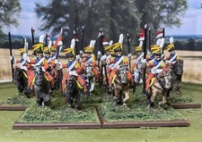 25mm painted napoleonic for sale  Alliance