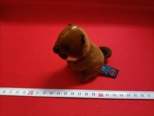 Peluches trudi castoro usato  Cassina de' Pecchi