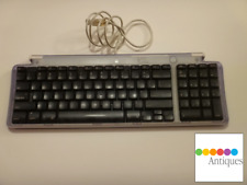 Teclado USB Apple para iMac Power Mac G3 G4 Cube G5 Pro M2452 uva roxa clara comprar usado  Enviando para Brazil