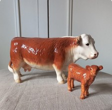 cow calf for sale cow calf for sale WALLINGFORD