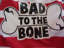 Bad bone dog for sale  Battle Ground