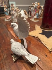 1985 white doves for sale  Connersville